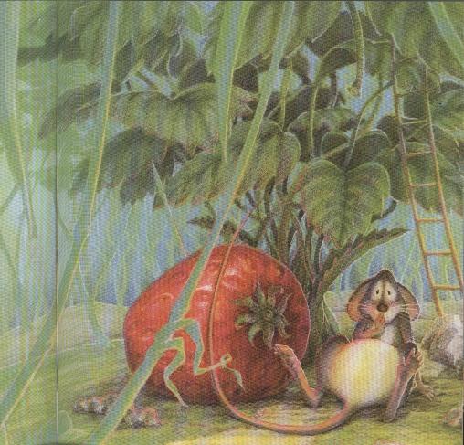 The Little Mouse, the Red Ripe Strawberry, and the Big Hungry Bear story telling time (08),绘本,绘本故事,绘本阅读,故事书,童书,图画书,课外阅读